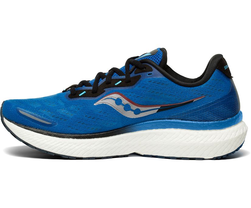 Saucony Triumph 19 Pohodni Čevlji Moški Kraljevsko Modra | 872-34521