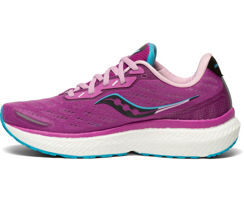 Saucony Triumph 19 Pohodni Čevlji Ženske Vijolične | 494-39388