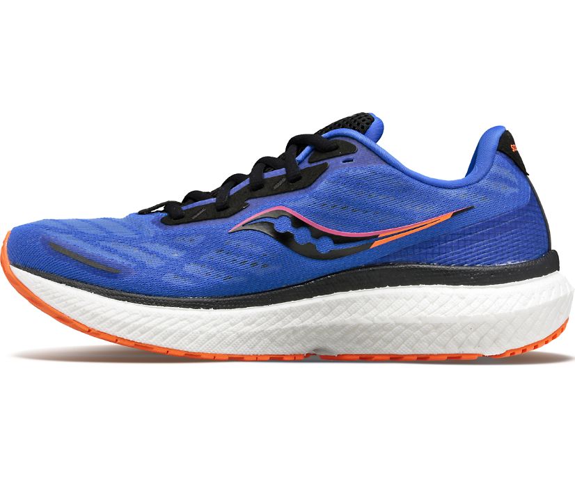 Saucony Triumph 19 Pohodni Čevlji Ženske Modre | 797-34645