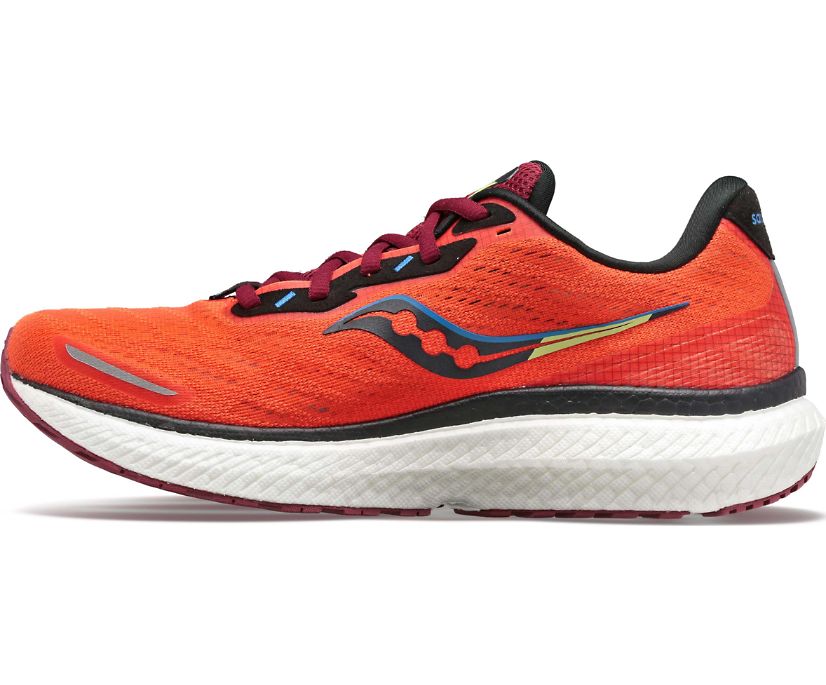 Saucony Triumph 19 Tekaški Čevlji Moški Rdeče | 119-14229