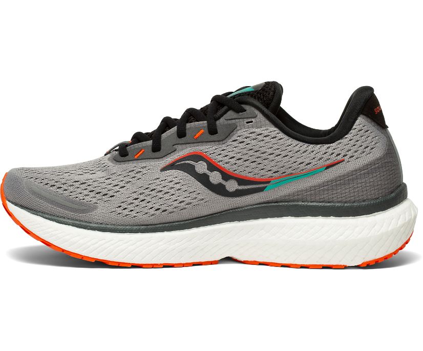 Saucony Triumph 19 Tekaški Čevlji Moški Sive | 466-13971