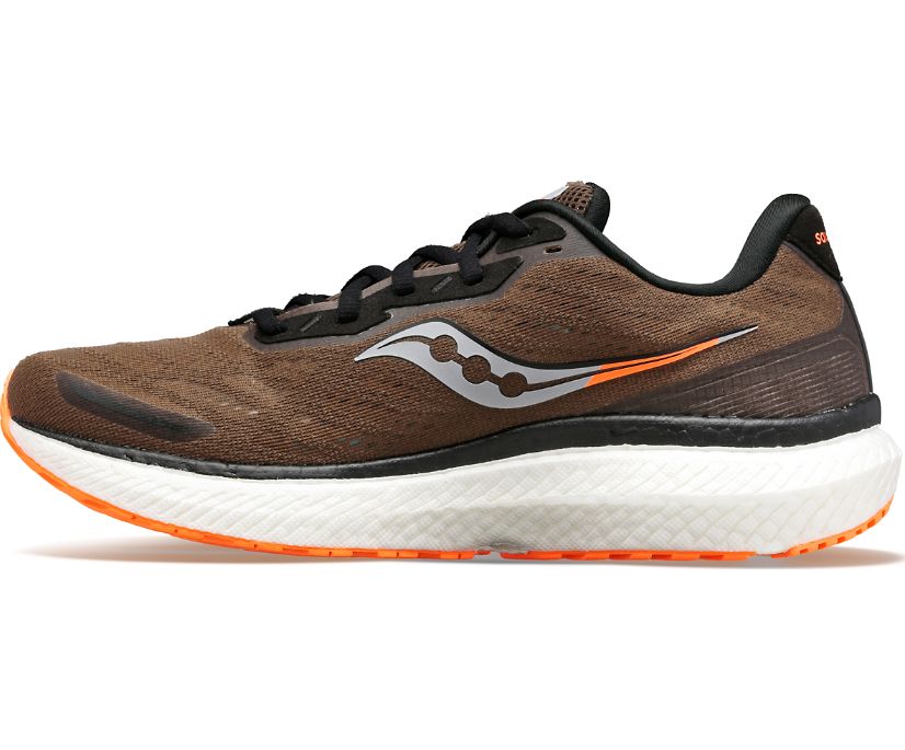 Saucony Triumph 19 Tekaški Čevlji Moški Olivno Zelene | 773-51890