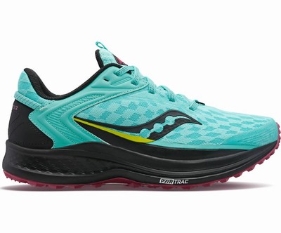 Saucony Canyon TR 2 Tekaški Čevlji Ženske Mete | 214-20494