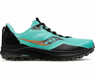 Saucony Peregrine 12 Pohodni Čevlji Moški Mete | 169-64448