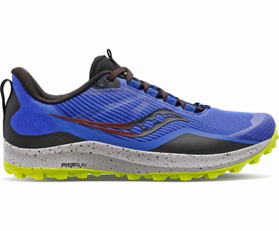 Saucony Peregrine 12 Pohodni Čevlji Moški Modre | 184-66527