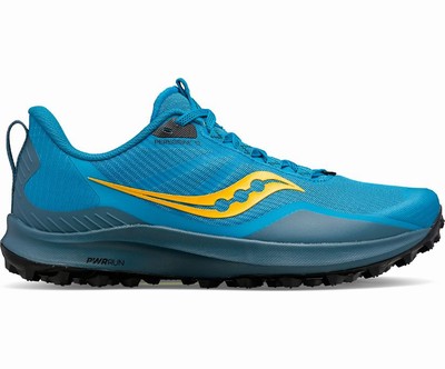 Saucony Peregrine 12 Pohodni Čevlji Moški Črne | 616-94949