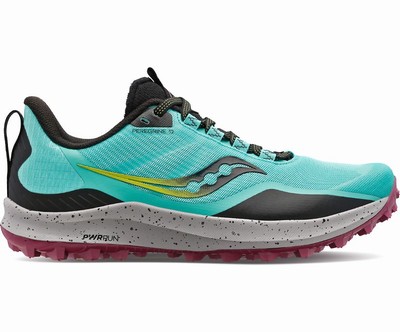 Saucony Peregrine 12 Pohodni Čevlji Ženske Mete | 663-56966