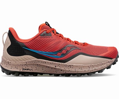 Saucony Peregrine 12 Tekaški Čevlji Moški Rdeče Modre Črne | 515-17888